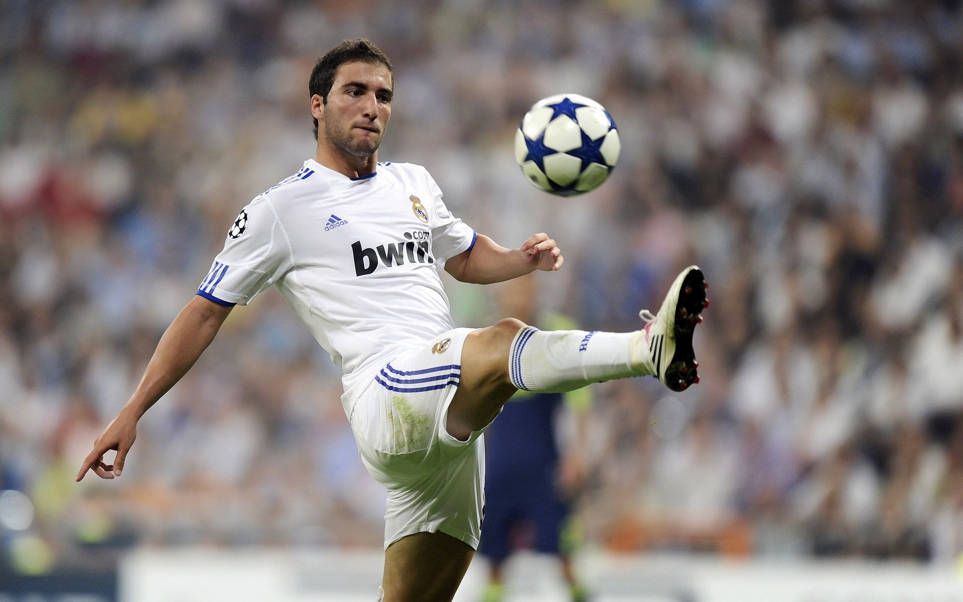 巴黎奥运会资格系列赛共有来自120多个国家和地区的464名运动员参赛。