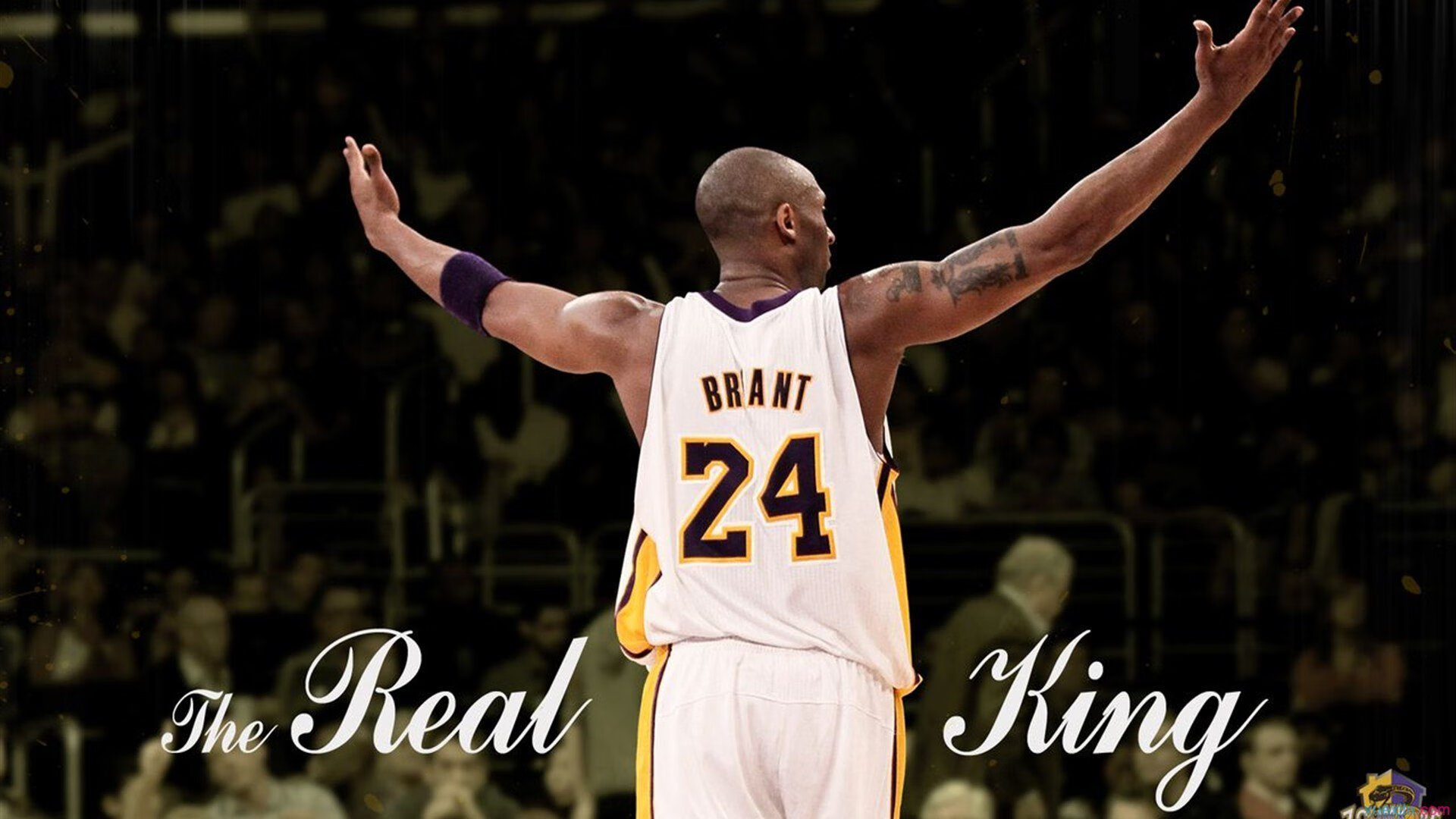 明日之星！青少年篮球天才集中亮相全国青年赛，全国青少年篮球俱乐部冠军联赛